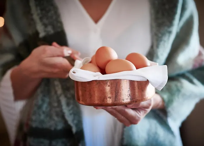 Szálloda - Restaurant Soleo 3*